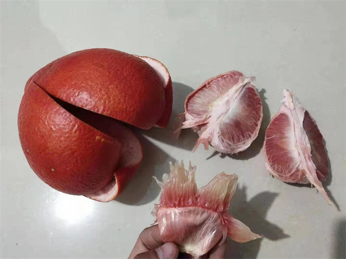三红沙田柚